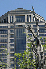 Atlanta Georgia architecture building digital image stock photo photograph photography assignment Tom Palmer Fantastic Places info@fantasticplaces.com