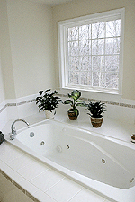 bath bathroom bathtub shower interior home house real estate digital image stock photo photograph photography assignment Tom Palmer Fantastic Places info@fantasticplaces.com