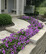 landscaping exterior decor decorating home house real estate digital image stock photo photograph photography assignment Tom Palmer Fantastic Places info@fantasticplaces.com