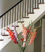 stairs stairway staircase steps interior decor decorating home house real estate digital image stock photo photograph photography assignment Tom Palmer Fantastic Places info@fantasticplaces.com