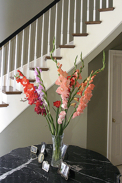stairs stairway staircase steps interior decor decorating home house real estate digital image stock photo photograph photography assignment Tom Palmer Fantastic Places info@fantasticplaces.com