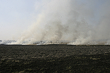 burn smoke field crop rows food farm agriculture digital image stock photo photograph photography Tom Palmer Fantastic Places info@fantasticplaces.com