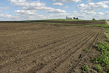 field crop rows food farm agriculture digital image stock photo photograph photography Tom Palmer Fantastic Places info@fantasticplaces.com