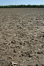 barren field crop rows food farm agriculture digital image stock photo photograph photography Tom Palmer Fantastic Places info@fantasticplaces.com