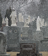 stock photographs of cemeteries by Tom Palmer