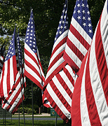 stock photographs of flags by Tom Palmer