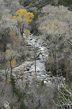 nature landscape outdoors stream Big Horn National Forest Wyoming digital image stock photo photograph photography Tom Palmer Fantastic Places info@fantasticplaces.com