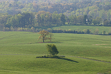 nature landscape outdoors pasture Virginia digital image stock photo photograph photography Tom Palmer Fantastic Places info@fantasticplaces.com